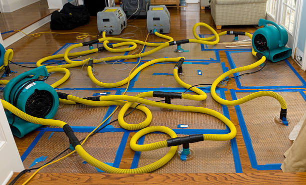 Professional Emergency Water Removal technician working in Pickerington, OH
